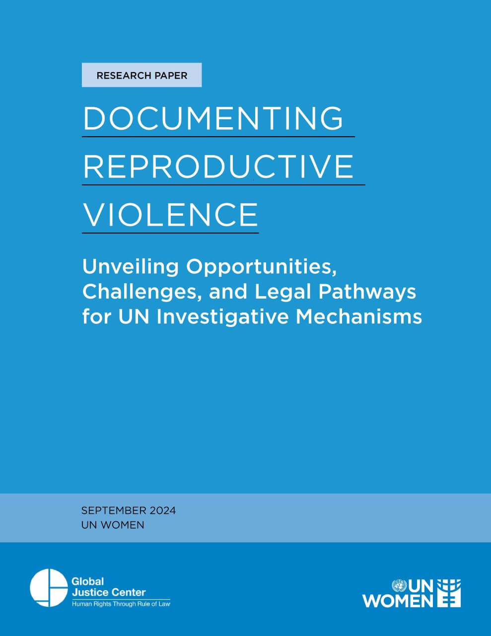 Documenting reproductive violence: Unveiling opportunities, challenges, and legal pathways for UN investigative mechanisms