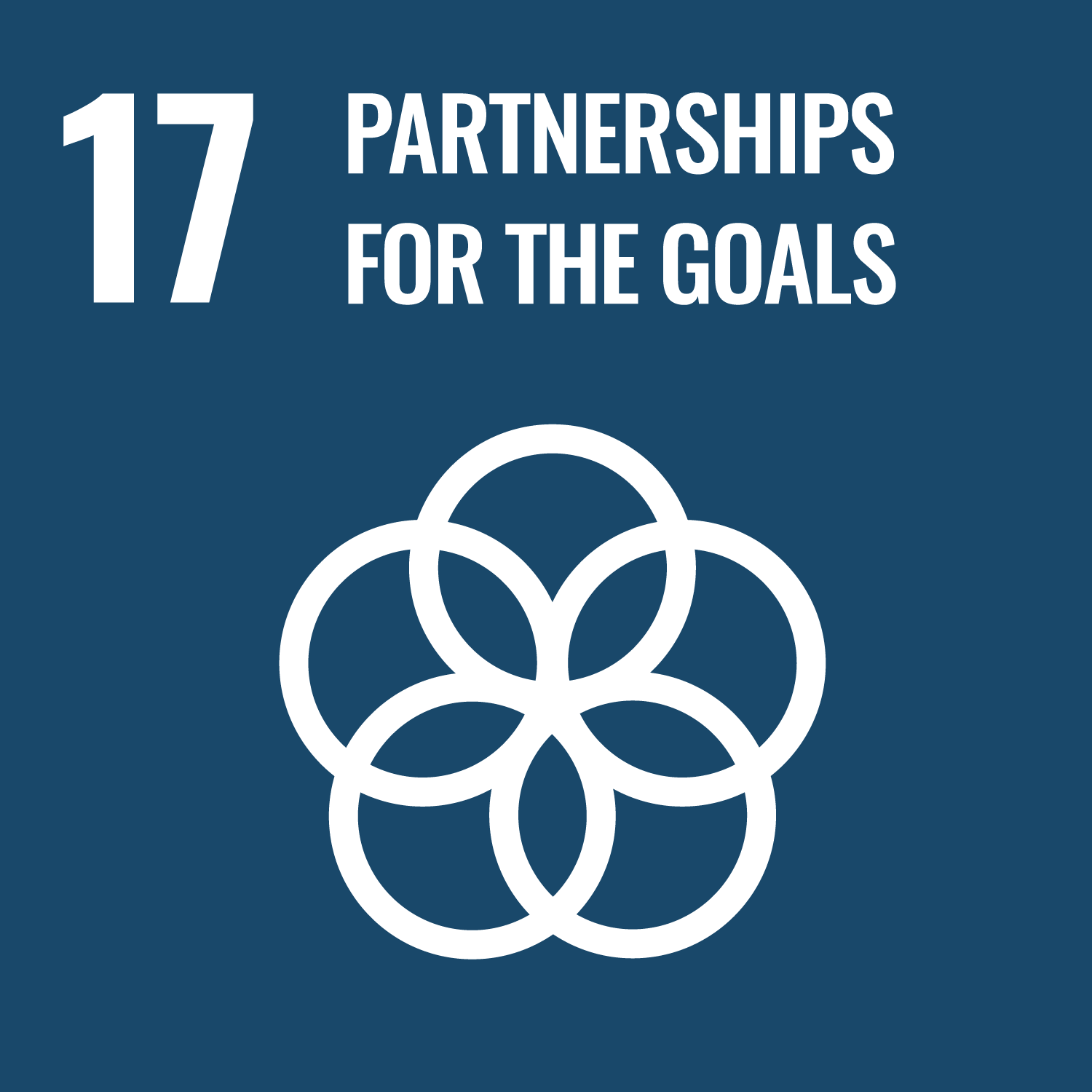 SDG 17 icon