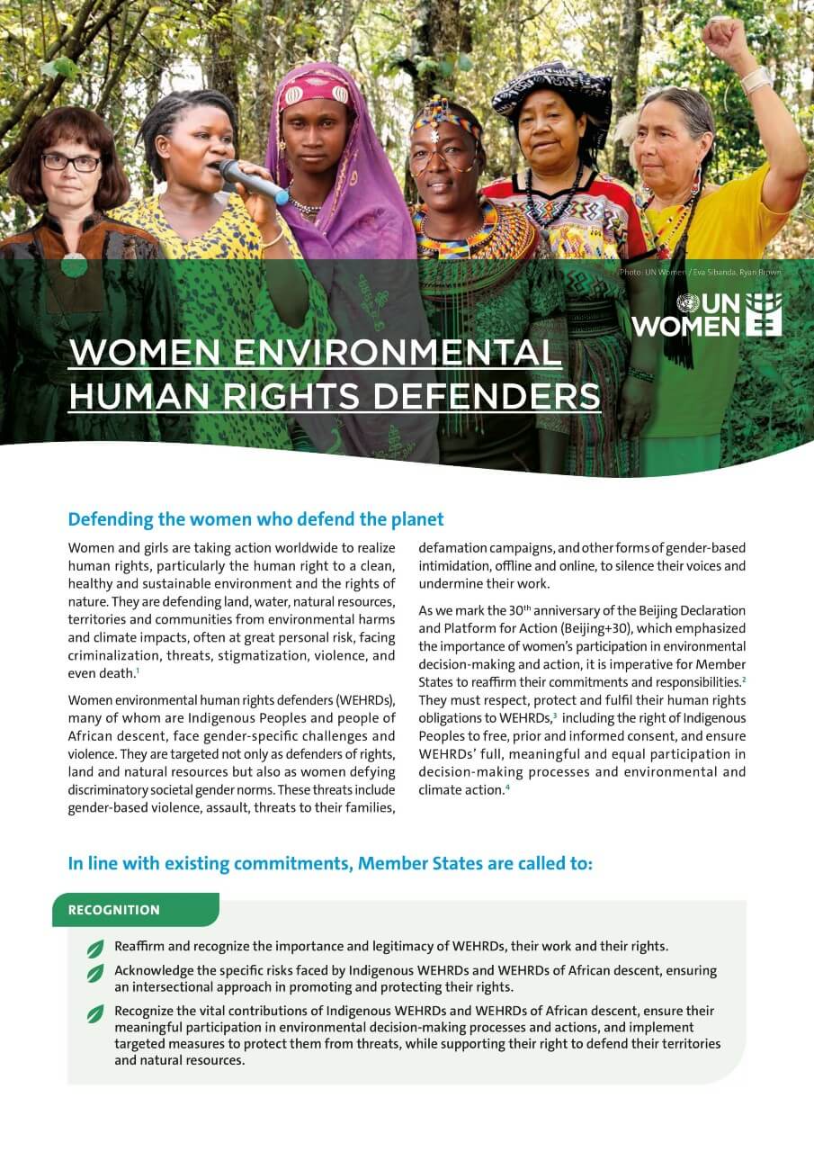 Brief: Women environmental human rights defenders