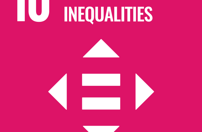 SDG 10 icon