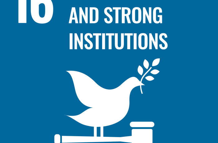 SDG 16 icon