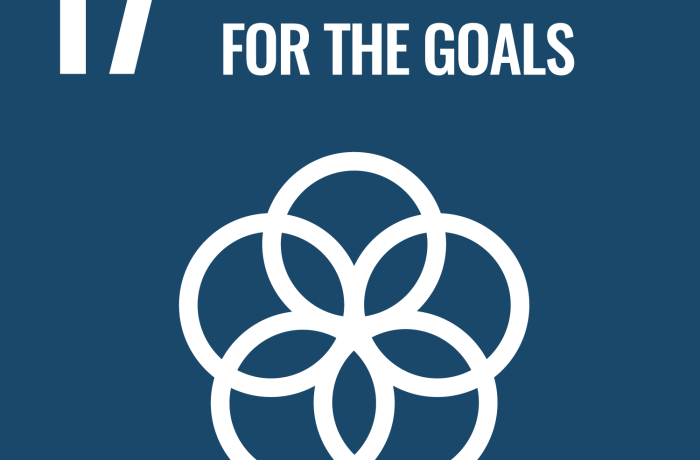 SDG 17 icon