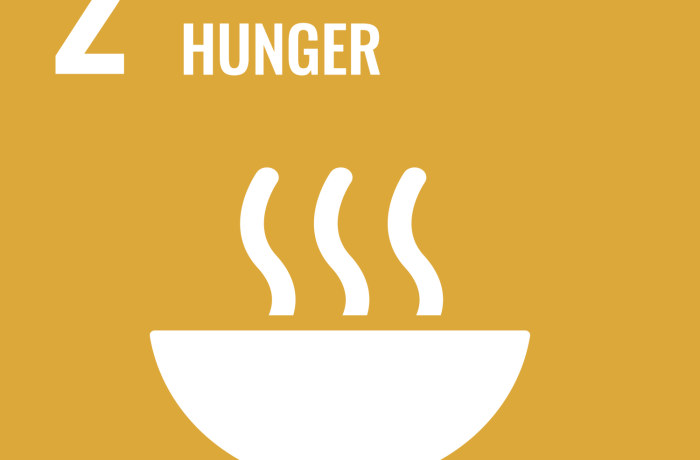 SDG 2 icon