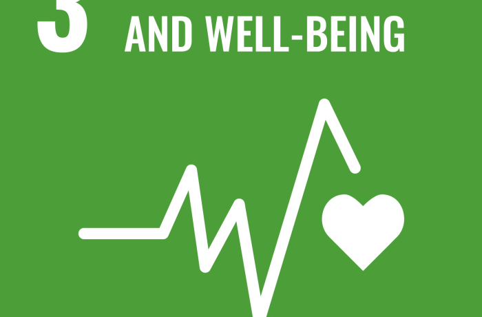 SDG 3 icon