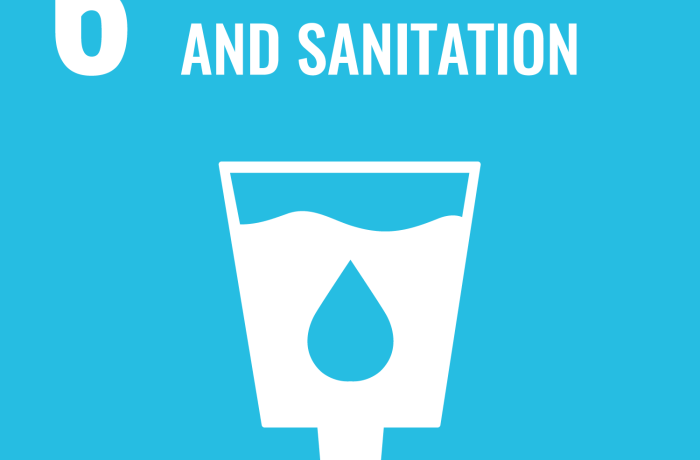 SDG 6 icon