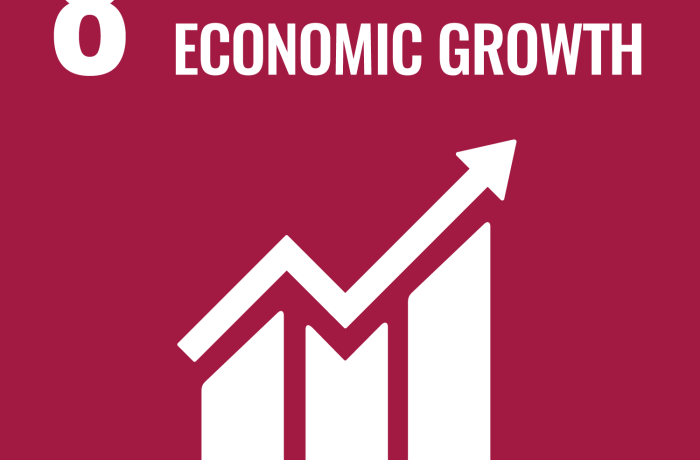 SDG 8 icon