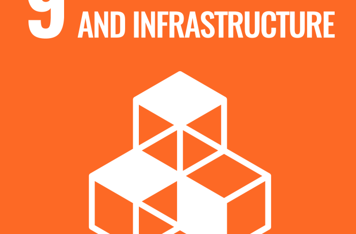 SDG 9 icon
