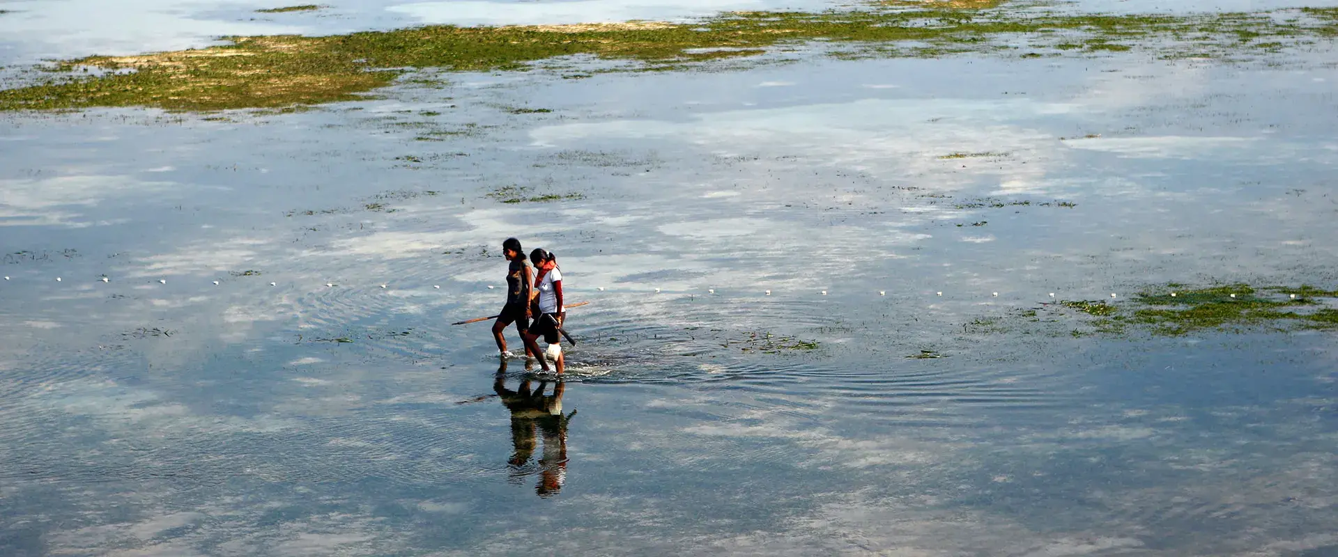 Mujeres pescando