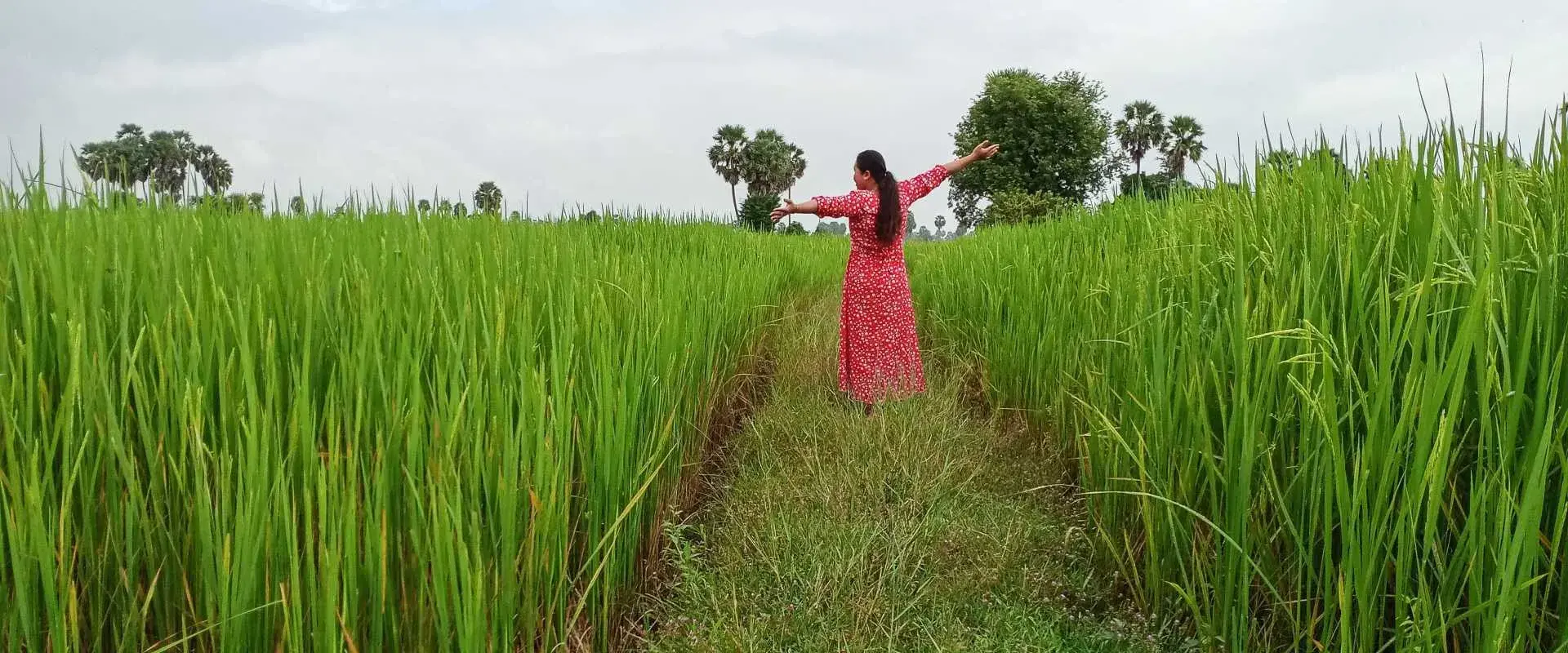 A migrant farmer in Cambodia showing off her rice harvest for photography project