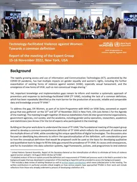 Expert Group Meeting report: Technology-facilitated violence against women: Towards a common definition