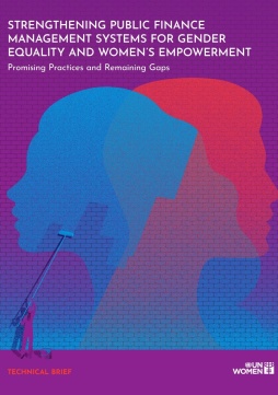 Strengthening public finance management systems for gender equality and women’s empowerment: Promising practices and remaining gaps