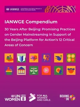 IANWGE compendium – 30 years after Beijing: Promising practices on gender mainstreaming in support of the Beijing Platform for Action’s 12 critical areas of concern