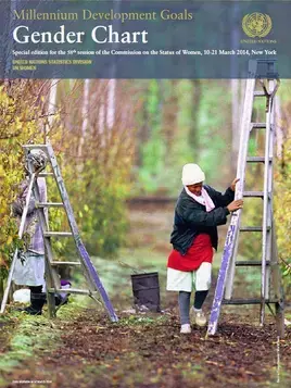 Gender Chart 2014 cover page