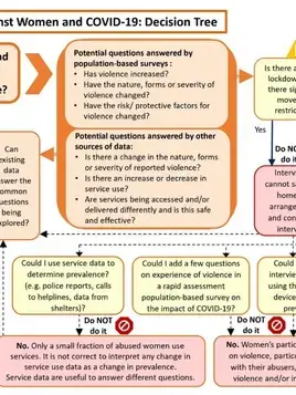 Decision tree: Data collection on violence against women and COVID-19