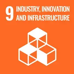 SDG 9 icon