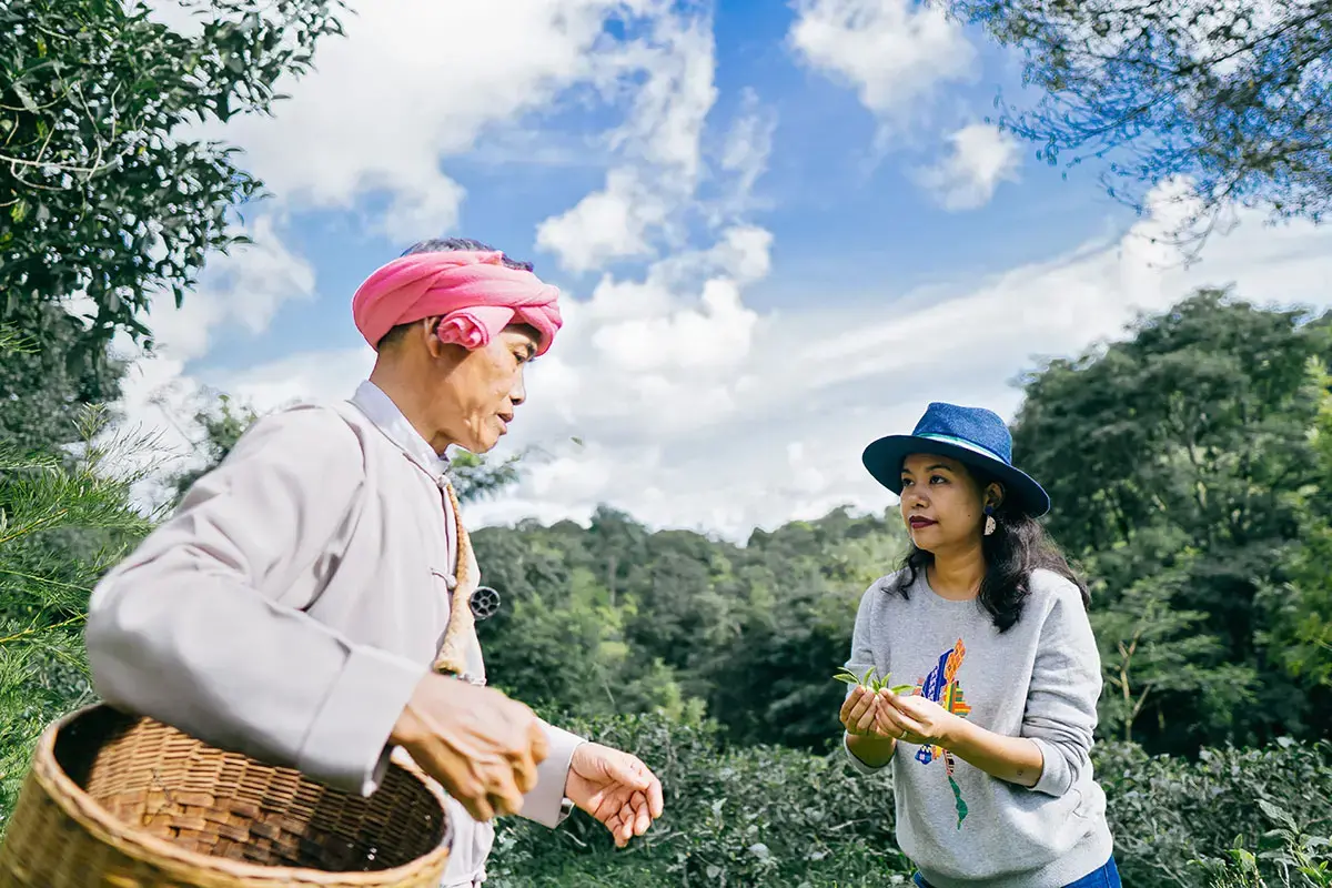 Entrepreneur Thiri Aung with tea farmer and producer, U Ba Si at the Misty Valley Village Tea Farm on Pindaya Mountain, in Shan State, Myanmar.