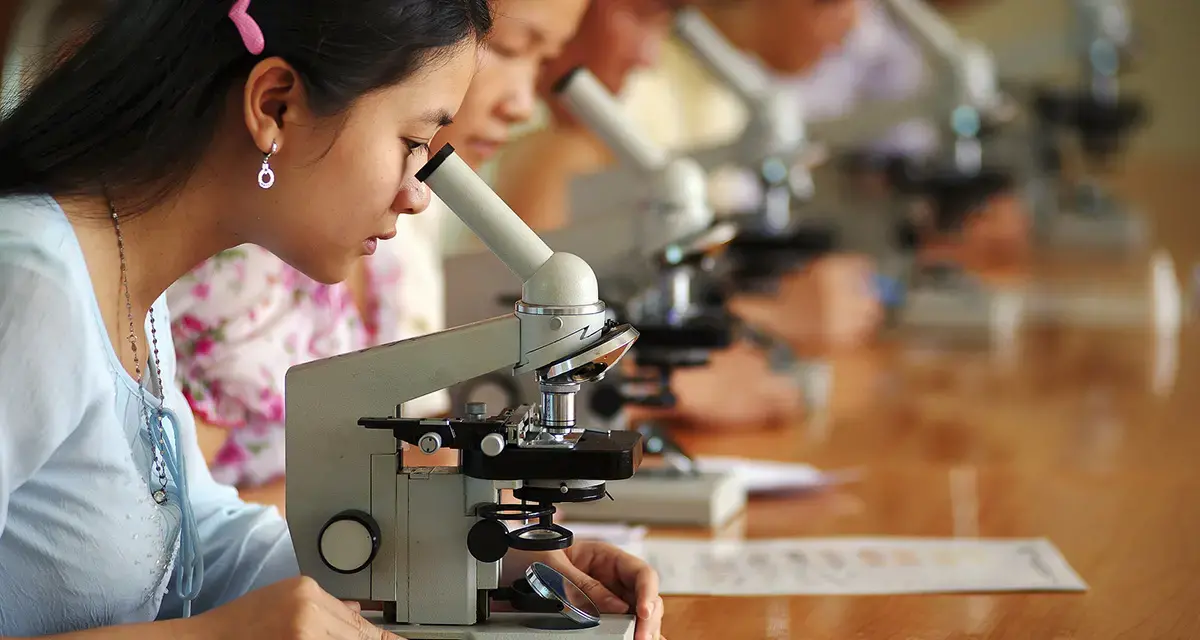 Photo: UN Women Viet Nam/Pham Quoc Hung