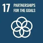 sdg 17 icon small