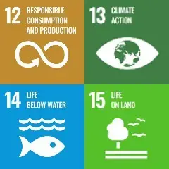 SDGs 12 to 15 logos combined