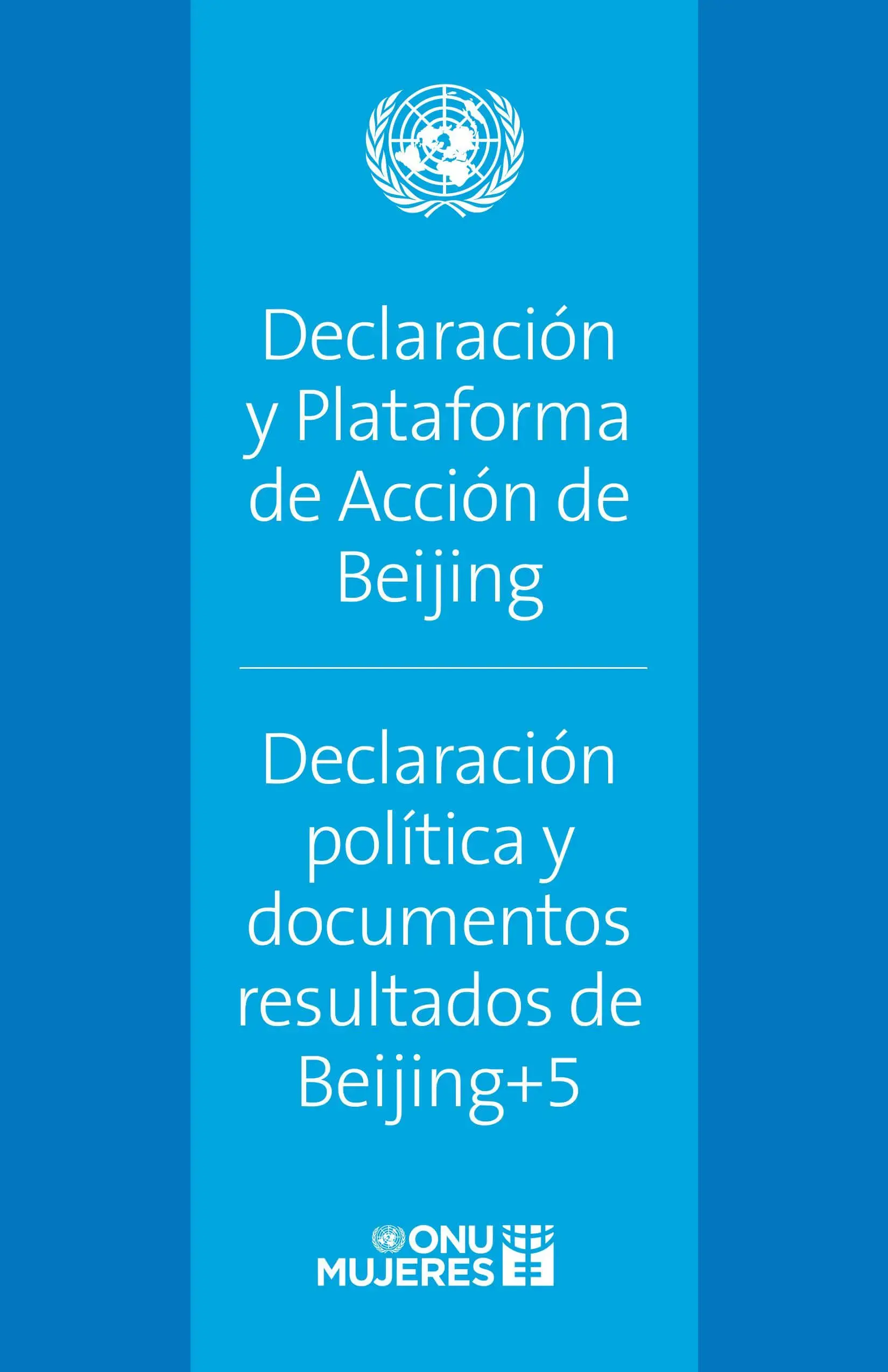 Declaración y Plataforma de Acción de Beijing, Declaración política y documentos resultados de Beijing+5