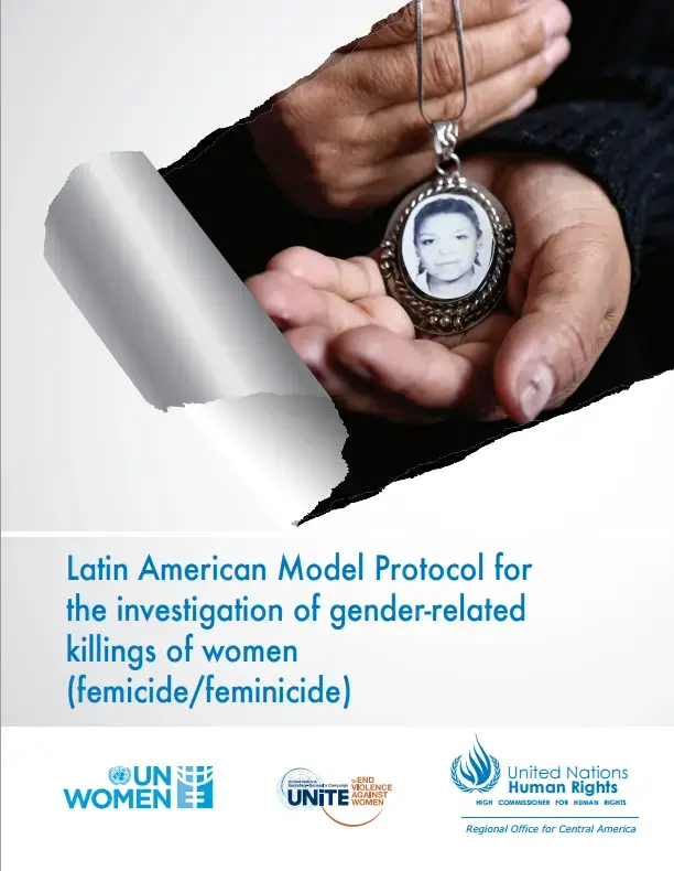 Model protocol on femicide.png
