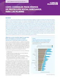 Conseguir niveles minimos de proteccion social adecuados para las mujeres.png Conseguir niveles mínimos de protección social adecuados para las mujeres