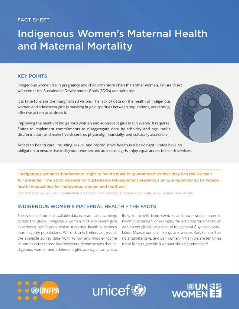Fact-sheet-Indigenous-womens-maternal-health-and-mortality-cover-en.jpg Fact sheet: Indigenous women’s maternal health and maternal mortality