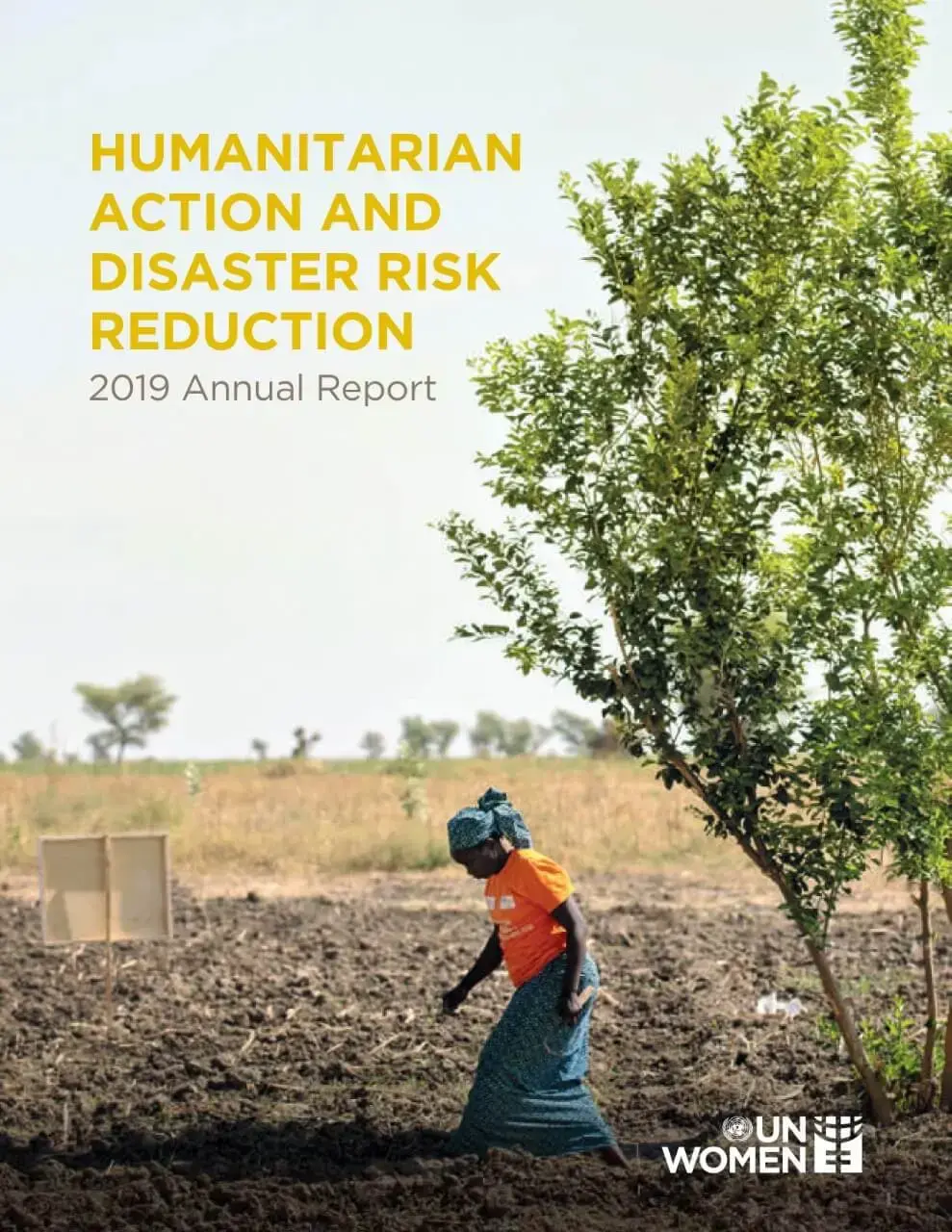 Humanitarian action and disaster risk reduction: 2019 annual report
