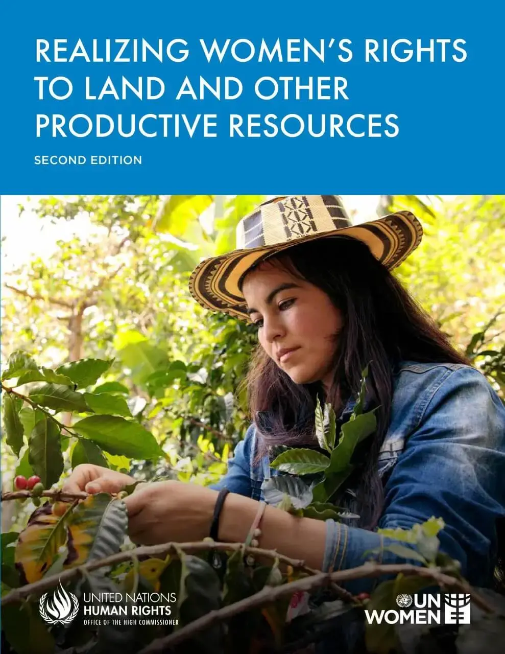 Realizing-womens-rights-to-land-and-other-productive-resources-2nd-edition-en.jpg Realizing women’s rights to land and other productive resources (second edition)